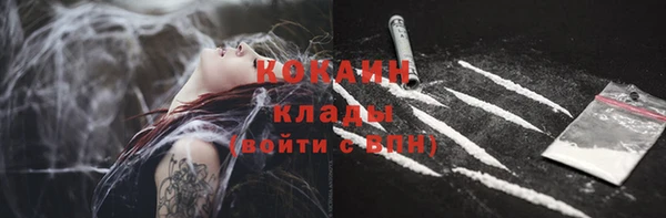 Альфа ПВП Корсаков